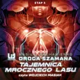 Droga Szamana. Etap 3. Tajemnica Mrocznego Lasu - Wasilij Machanienko