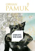 Dziwna myśl w mej głowie - Orhan Pamuk