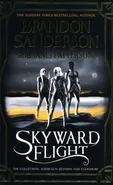 Skyward Flight - Janci Patterson