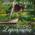 Jezioro Zapomnienie - Joanna Tekieli