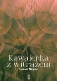 Kawalerka z witrażem - Łukasz Nicpan