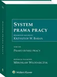 System Prawa Pracy. TOM VIII. Prawo rynku pracy - Andrzej M. Świątkowski