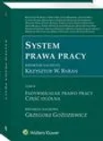 System prawa pracy. TOM II. Indywidualne prawo pracy. Część ogólna - Alina Wypych-Żywicka