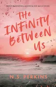 The Infinity Between Us - N.S. Perkins