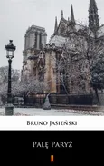 Palę Paryż - Bruno Jasieński