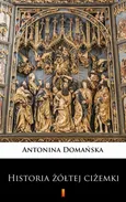 Historia żółtej ciżemki - Antonina Domańska