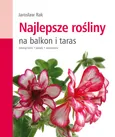 Najlepsze rośliny na balkon i taras - Jarosław Rak
