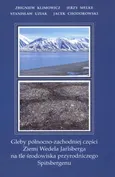 Gleby pólnocno zachodniej części Wedela Jarlsberga na tle środowiska przyrodniczego Spitsbergenu - Jerzy Melke