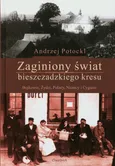 Zaginiony świat bieszczadzkiego kresu - Andrzej Potocki