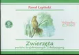 Zwierzęta parków krajobrazowych Lubelszczyzny - Outlet - Paweł Łapiński