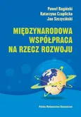 Międzynarodowa współpraca na rzecz rozwoju - Paweł Bagiński