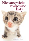 Niesamowicie rozkoszne koty - Stuart Macfarlane