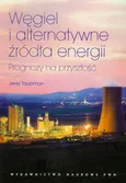 Węgiel i alternatywne źródła energii - Jerzy Taubman