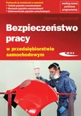 Bezpieczeństwo pracy w przedsiębiorstwie samochodowym Podręcznik - Dariusz Stępniewski