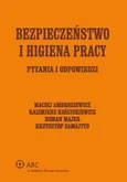 Bezpieczeństwo i higiena pracy - Maciej Ambroziewicz
