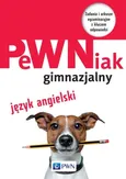PeWNiak gimnazjalny Język angielski + CD - Anna Szafarz