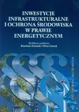 Inwestycje infrastrukturalne i ochrona środowiska w prawie energetycznym