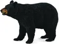 Niedźwiedź czarny amerykański