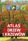 Atlas drzew i krzewów - Outlet - Aleksandra Halarewicz