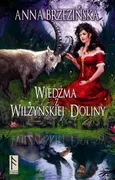 Wiedźma z Wilżyńskiej Doliny - Outlet - Anna Brzezińska