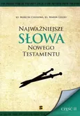 Najważniejsze słowa Nowego Testamentu - Marcin Cholewa