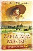 Stacja Jagodno Tom 1 Zaplątana miłość - Karolina Wilczyńska