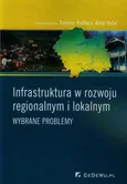 Infrastruktura w rozwoju regionalnym i lokalnym - Outlet
