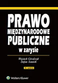 Prawo międzynarodowe publiczne w zarysie - Outlet - Wojciech Góralczyk