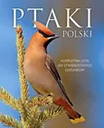 Ptaki Polski - Outlet - Dominik Marchowski