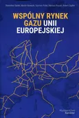 Wspólny rynek gazu Unii Europejskiej - Mariusz Ruszel