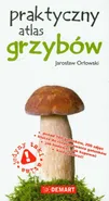 Praktyczny atlas grzybów - Outlet - Jarosław Orłowski