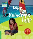 Why Do Raindrops Fall? 3 Factbook - Peter Rees