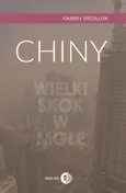 Chiny Wielki Skok w mgłę - Outlet - Gabriel Grésillon