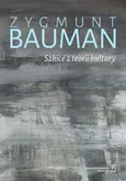 Szkice z teorii kultury - Outlet - Zygmunt Bauman