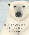 Niedźwiedź polarny - Jenni Desmond