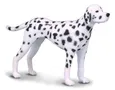 Pies dalmatyńczyk M