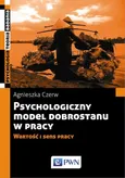 Psychologiczny model dobrostanu w pracy - Outlet - Agnieszka Czerw