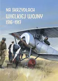 Na skrzydłach Wielkiej Wojny 1916-1917 - Outlet - Andrzej Olejko