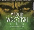 Gliny z inne gliny - CD - Marcin Wroński