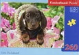Puzzle 260 Cute Daschshund - Outlet