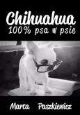 Chihuahua 100% psa w psie - Marta Paszkiewicz