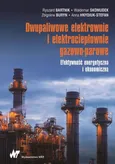 Dwupaliwowe elektrownie i elektrociepłownie gazowo-parowe - Anna Hnydiuk-Stefan