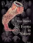 Art Forms in Nature Prints of Ernst Haeckel