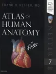 Atlas of Human Anatomy 7th Edition - Outlet - Netter Frank H.