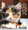 Kalendarz biurkowy Mni Kotki 2020 10 sztuk