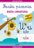 Nauka pisania Duża liniatura - Beata Guzowska
