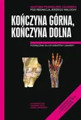 Anatomia Prawidłowa Człowieka Kończyna górna, Kończyna dolna - Outlet