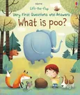 What is poo? - Katie Daynes