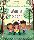 Lift-the-flap Very First Questions and Answers What is sleep? - Katie Daynes