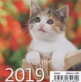 Kalendarz 2019 biurkowy mini kotki - Outlet